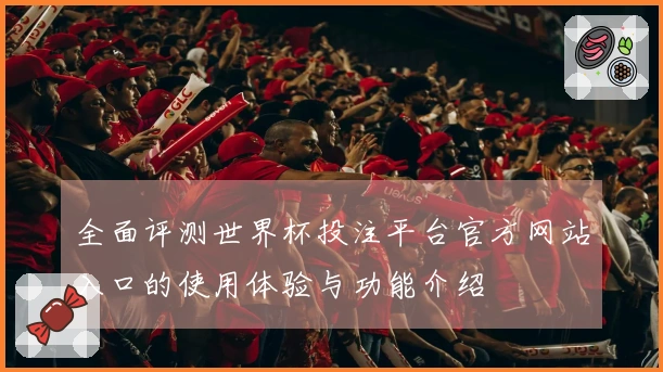全面评测世界杯投注平台官方网站入口的使用体验与功能介绍