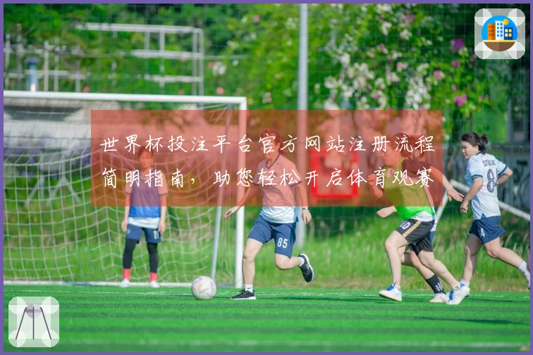 世界杯投注平台官方网站注册流程简明指南，助您轻松开启体育观赛新体验