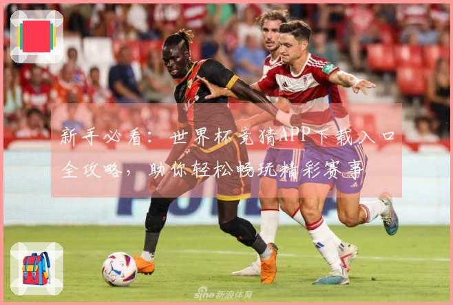 新手必看：世界杯竞猜APP下载入口全攻略，助你轻松畅玩精彩赛事
