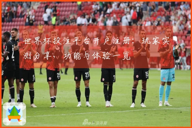 世界杯投注平台开户注册:玩家实测分享,功能与体验一览