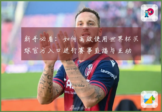 新手必看：如何高效使用世界杯买球官方入口进行赛事直播与互动