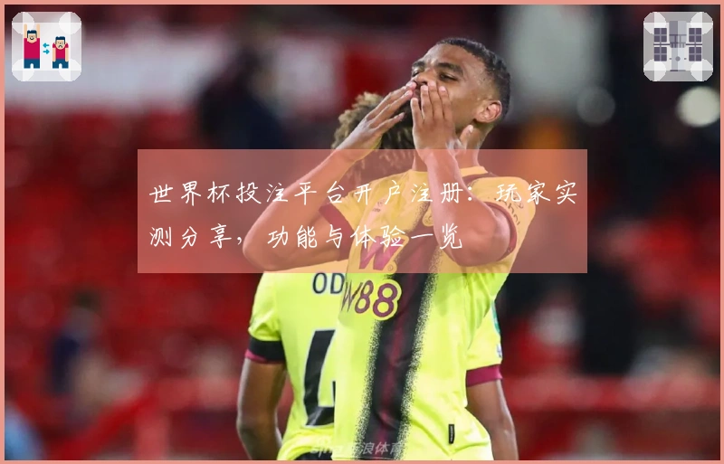 世界杯投注平台开户注册：玩家实测分享，功能与体验一览
