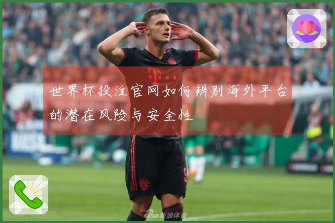 世界杯投注官网如何辨别海外平台的潜在风险与安全性